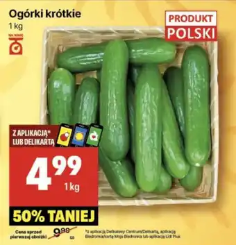Delikatesy Centrum Ogórki krótkie oferta