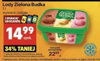 Delikatesy Centrum Lody Zielona Budka 1l oferta