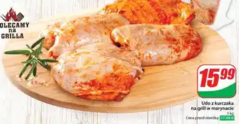 Dino Udo z kurczaka w marynacie na grill oferta