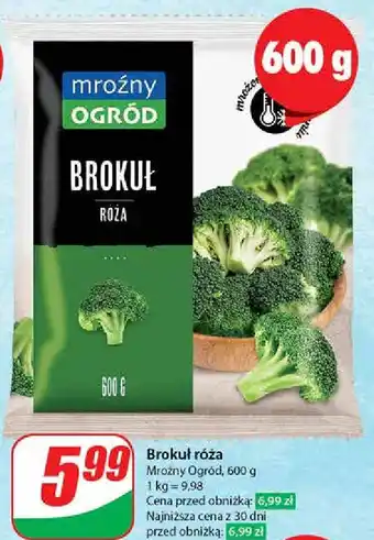 Dino Brokuły Mroźny Ogród oferta