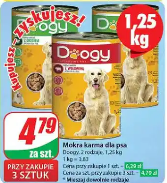 Dino Karma dla psa z drobiem Doogy oferta