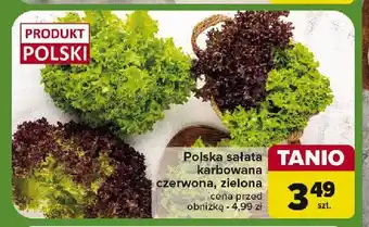 Carrefour Sałata karbowana czerwona oferta