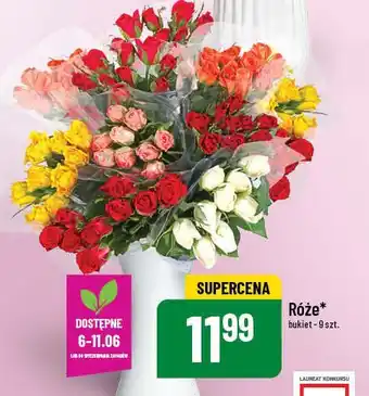 Polomarket Róże oferta