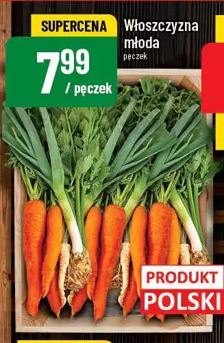 Polomarket Włoszczyzna młoda oferta