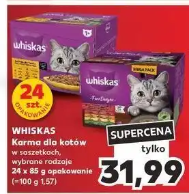 Kaufland Potrawka w galaretce z wołowiną Whiskas oferta