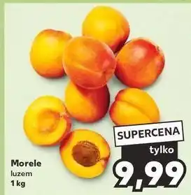 Kaufland Morele oferta
