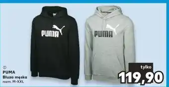 Kaufland Bluza męska rozm. m-xxl Puma oferta