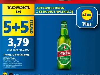 Lidl Piwo Perła Chmielowa oferta