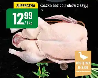 Polomarket Kaczka bez podrobów z szyją oferta