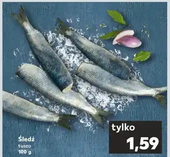 Kaufland Śledz tusza oferta