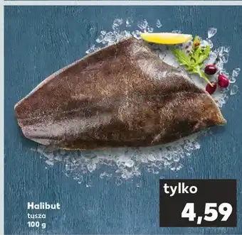 Kaufland Halibut tusza oferta