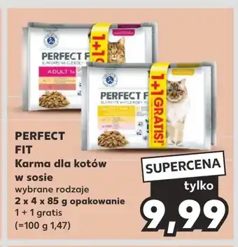 Kaufland Karma dla kota Perfect Fit oferta
