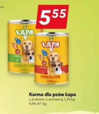 Lewiatan Karma dla psa Łapa oferta