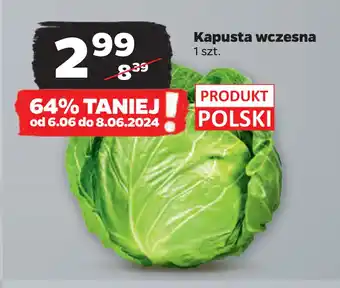 Netto Kapusta wczesna oferta