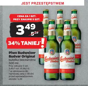 Netto Piwo Budweiser Budvar Original oferta