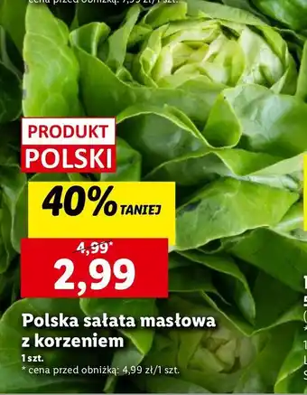 Lidl Sałata masłowa z korzeniem oferta