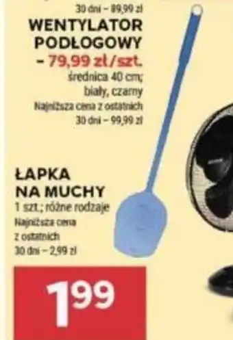 Stokrotka ŁAPKA NA MUCHY szt. oferta