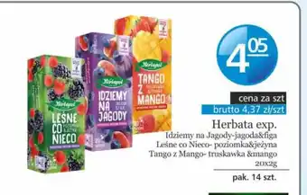 Specjał Herbata Herbapol oferta