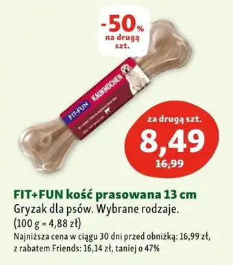 Gryzak Fit+Fun