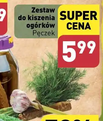 ALDI Zestaw do kiszenia ogórków Pęczek oferta