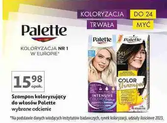 Auchan Szampon do koloryzacji włosów 341 (3-0) Palette Color Shampoo oferta