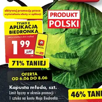 Biedronka Kapusta młoda polska oferta