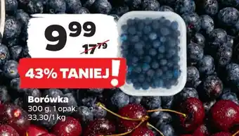 Netto Borówka amerykańska oferta