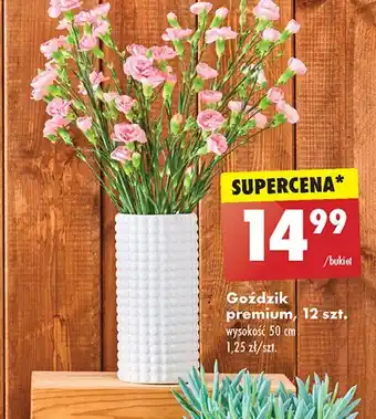 Biedronka Gożdzik oferta