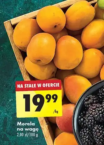 Biedronka Morele oferta