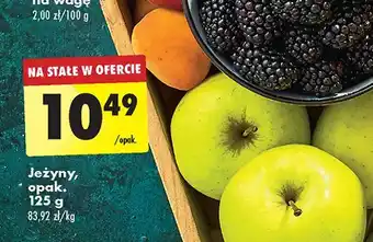 Biedronka Jeżyny oferta