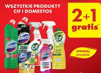 Biedronka Spray do czyszczenia floral fiesta Domestos Power Foam oferta