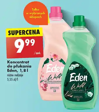 Biedronka Koncentrat do płukania tkanin jungle blooms Eden Wild oferta