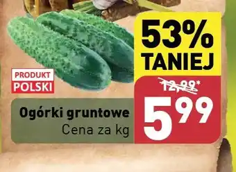 ALDI Ogórek gruntowy polska oferta