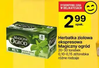 Delikatesy Centrum Herbata ziołowa ekspresowa Magiczny ogród oferta