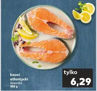 Kaufland Łosoś oferta