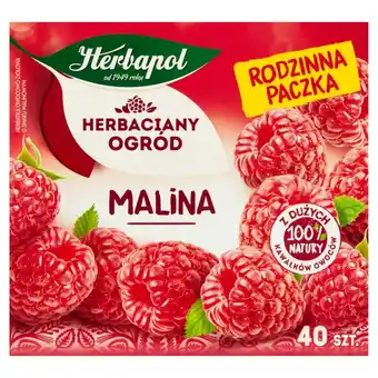 ALDI Herbapol Herbaciany Ogród Herbatka owocowo-ziołowa malina 108 g (40 x 2,7 g) oferta