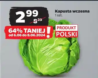 Netto Kapusta Polski oferta