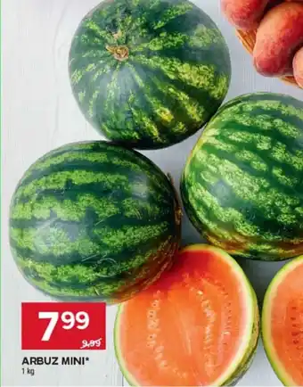 Stokrotka Arbuz oferta