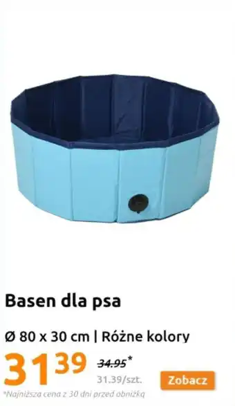 Action Basen dla psa oferta