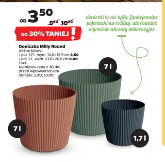 Netto Doniczka Milly Round oferta