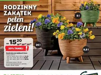 Netto Doniczka na nóżkach Furu oferta