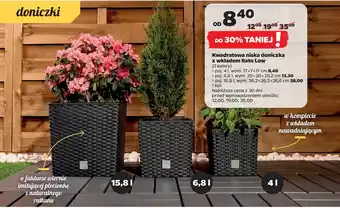 Netto Kwadratowa niska doniczka z wkładem Rato Low oferta