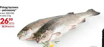 Makro Pstrąg tęczowy - patroszony 1 kg oferta