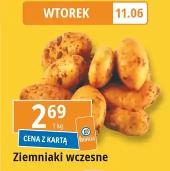 E.Leclerc Ziemniaki wczesne oferta