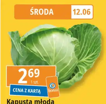 E.Leclerc Kapusta młoda oferta