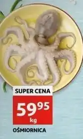 Auchan Ośmiornica oferta