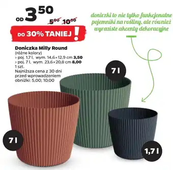 Netto Doniczka Milly oferta