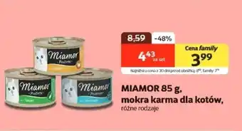 Kakadu Mokra karma dla kota Miamor oferta