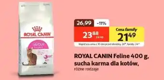 Kakadu Karma dla kota Royal Canin oferta