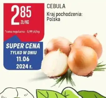 Społem Cebula oferta